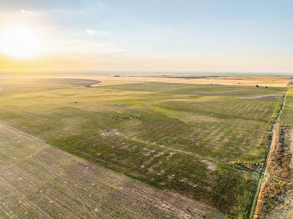 320 Acres of Land for Sale in Goodwell, Oklahoma