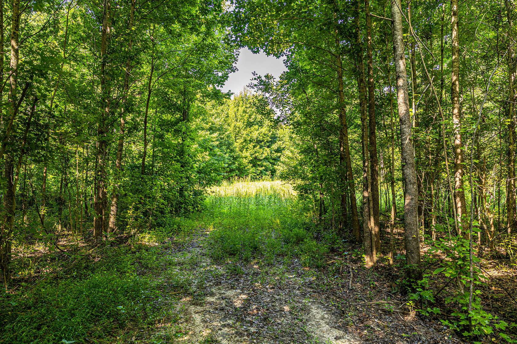 25.3 Acres of Recreational & Residential Land for Sale in Bentonia, Mississippi