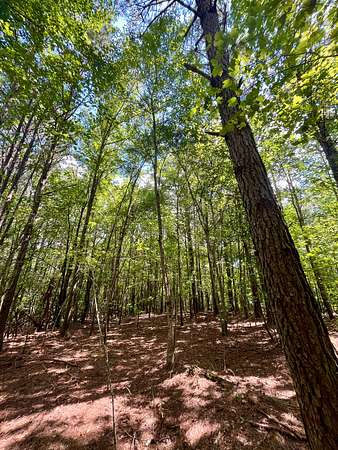 16 Acres of Recreational & Residential Land for Sale in Woodland, Alabama