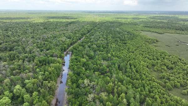1,252 Acres of Recreational Land for Sale in St. Gabriel, Louisiana