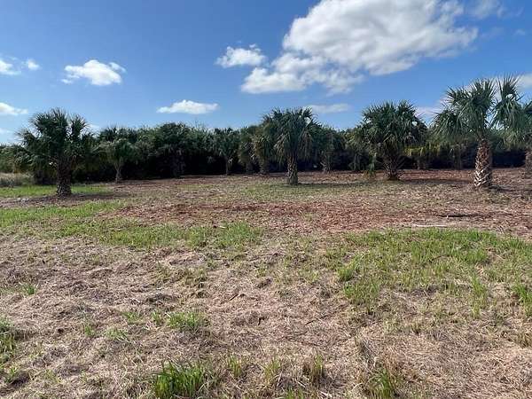 0.23 Acres of Residential Land for Sale in Palm Bay, Florida