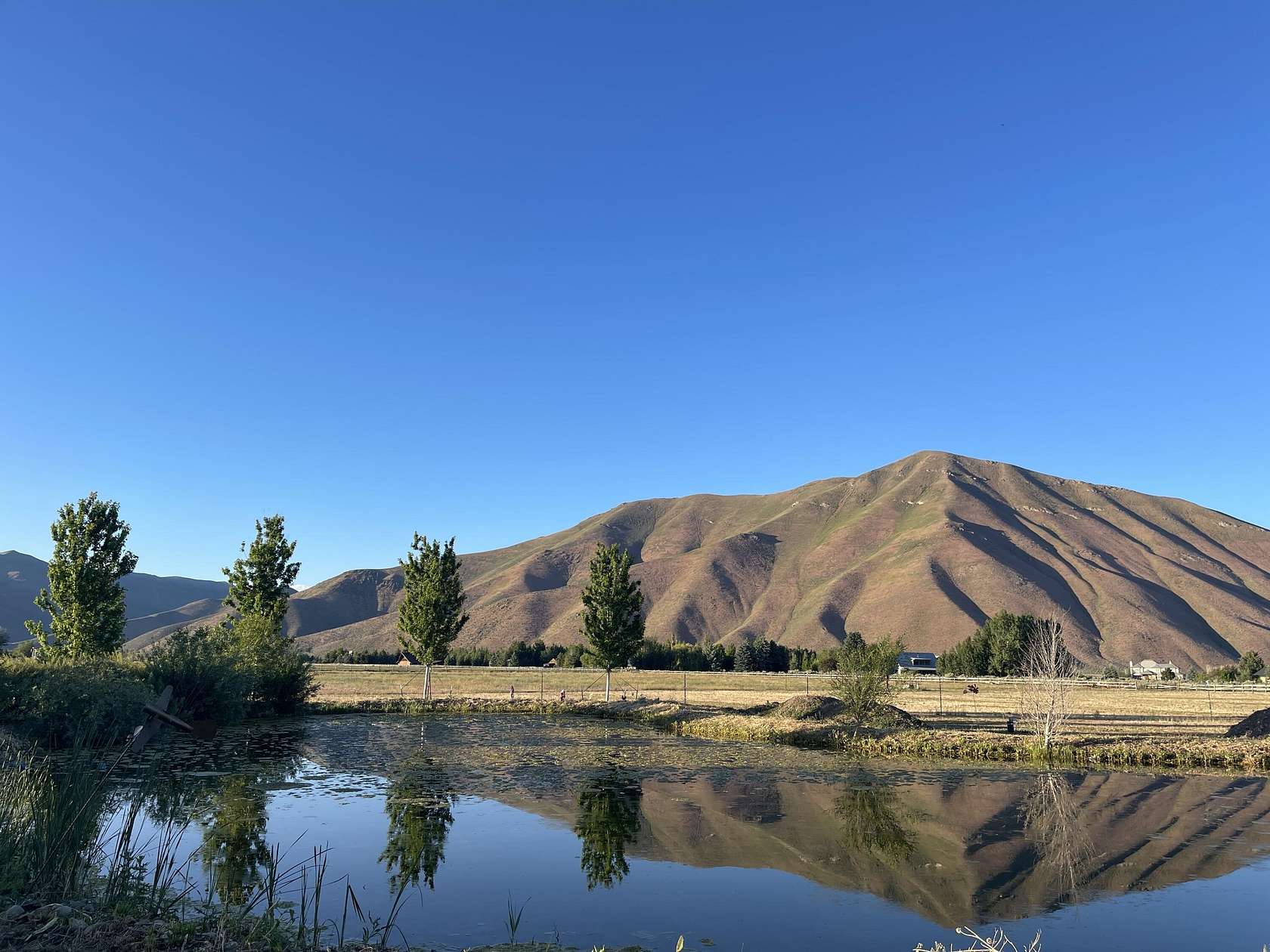 7.26 Acres of Residential Land for Sale in Bellevue, Idaho