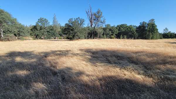 39.3 Acres of Agricultural Land for Sale in Cottonwood, California