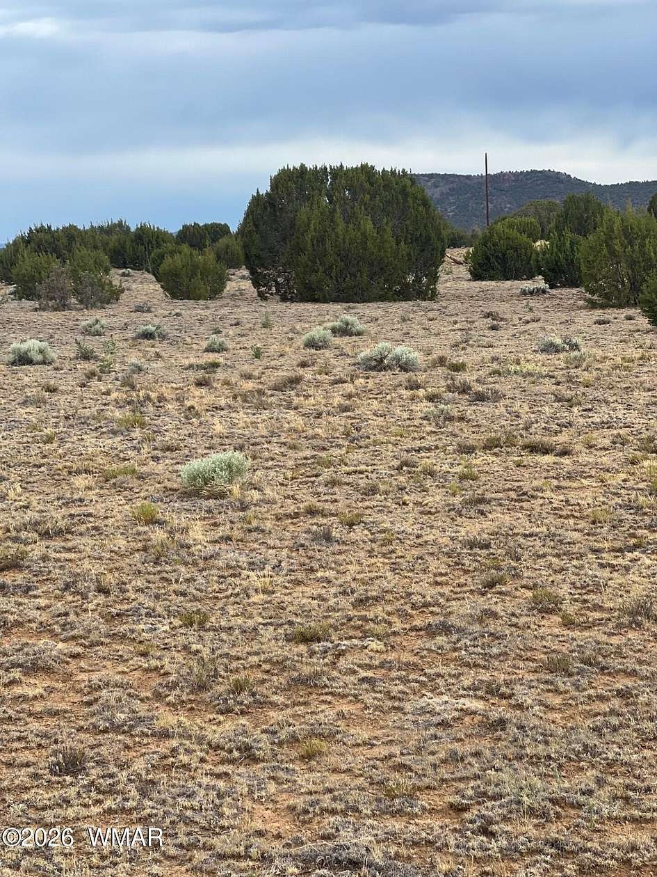 11.8 Acres of Land for Sale in Concho, Arizona