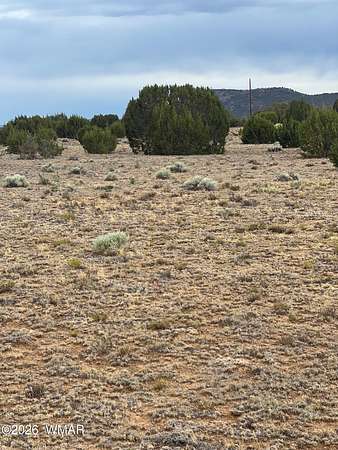 11.8 Acres of Land for Sale in Concho, Arizona