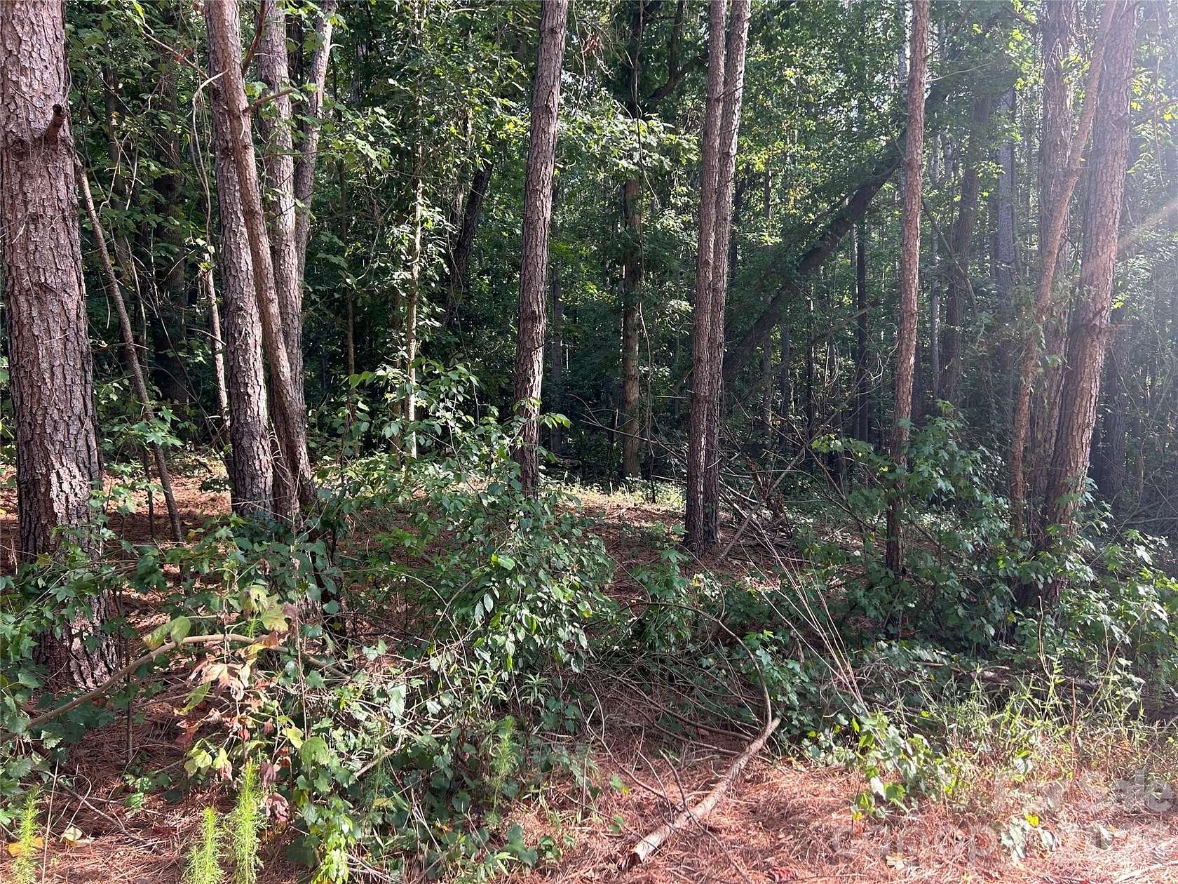 1 Acre of Residential Land for Sale in Vale, North Carolina