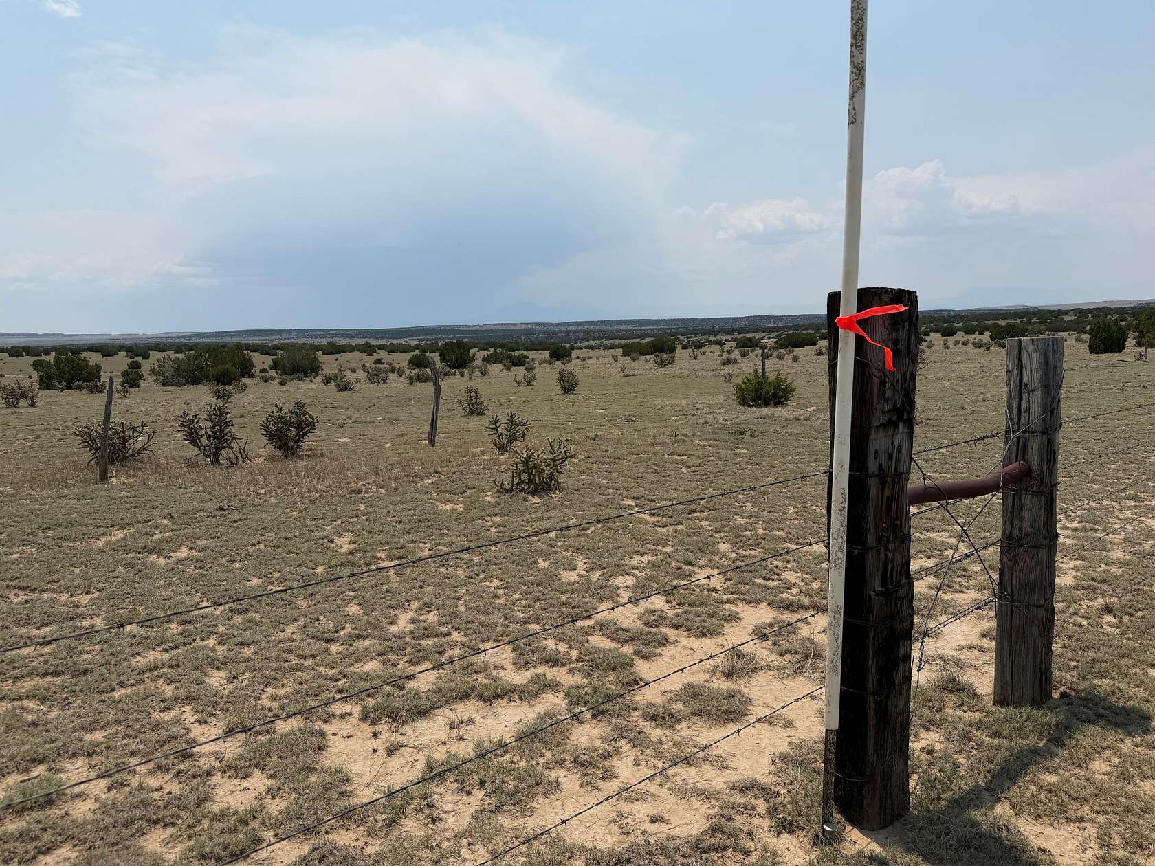 40 Acres of Land for Sale in Walsenburg, Colorado