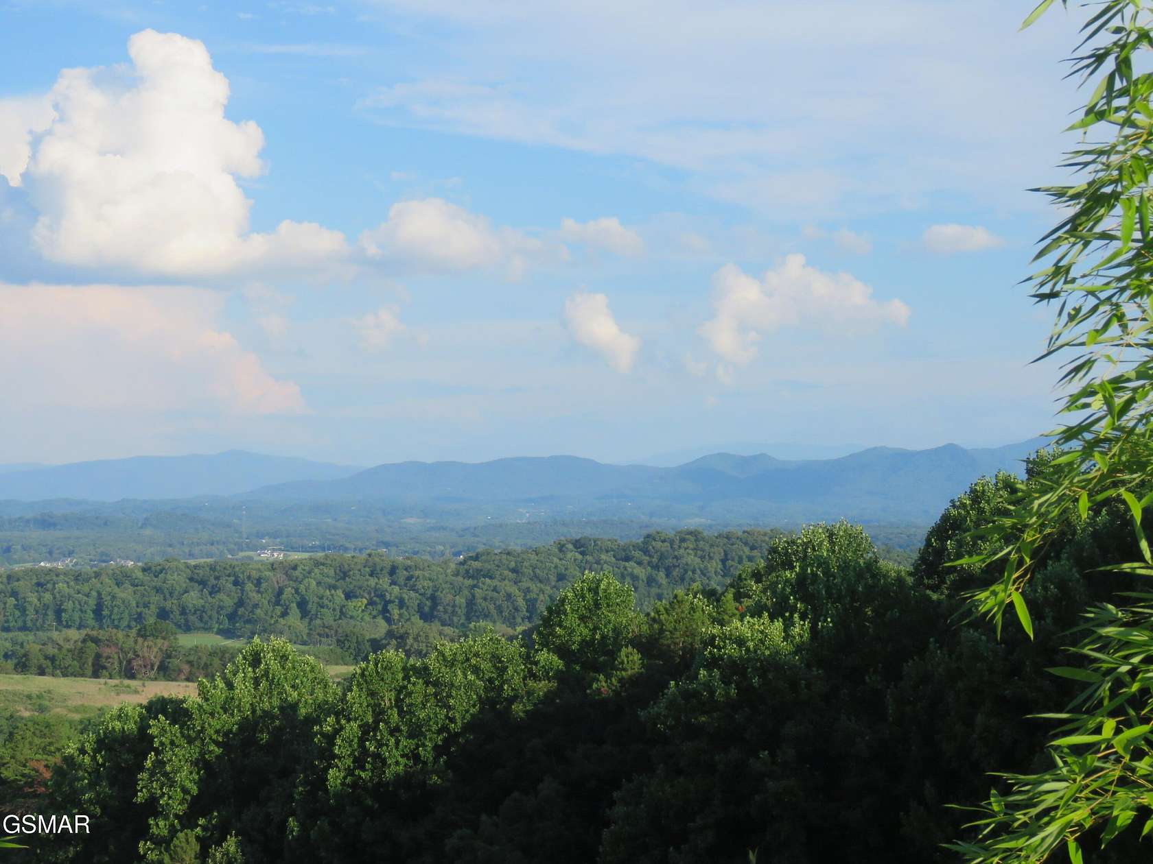6.13 Acres of Land with Home for Sale in White Pine, Tennessee