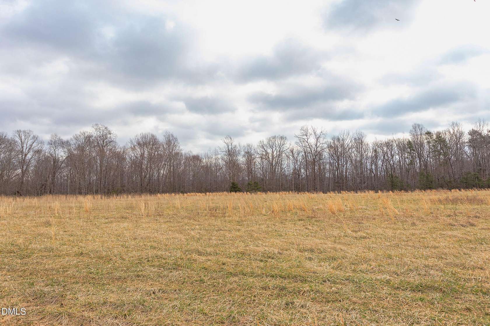 7 Acres of Residential Land for Sale in Rougemont, North Carolina