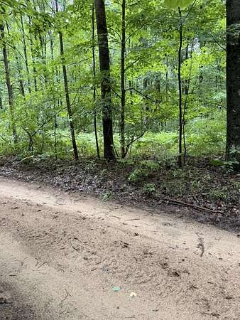 10 Acres of Recreational & Residential Land for Sale in Hesperia, Michigan