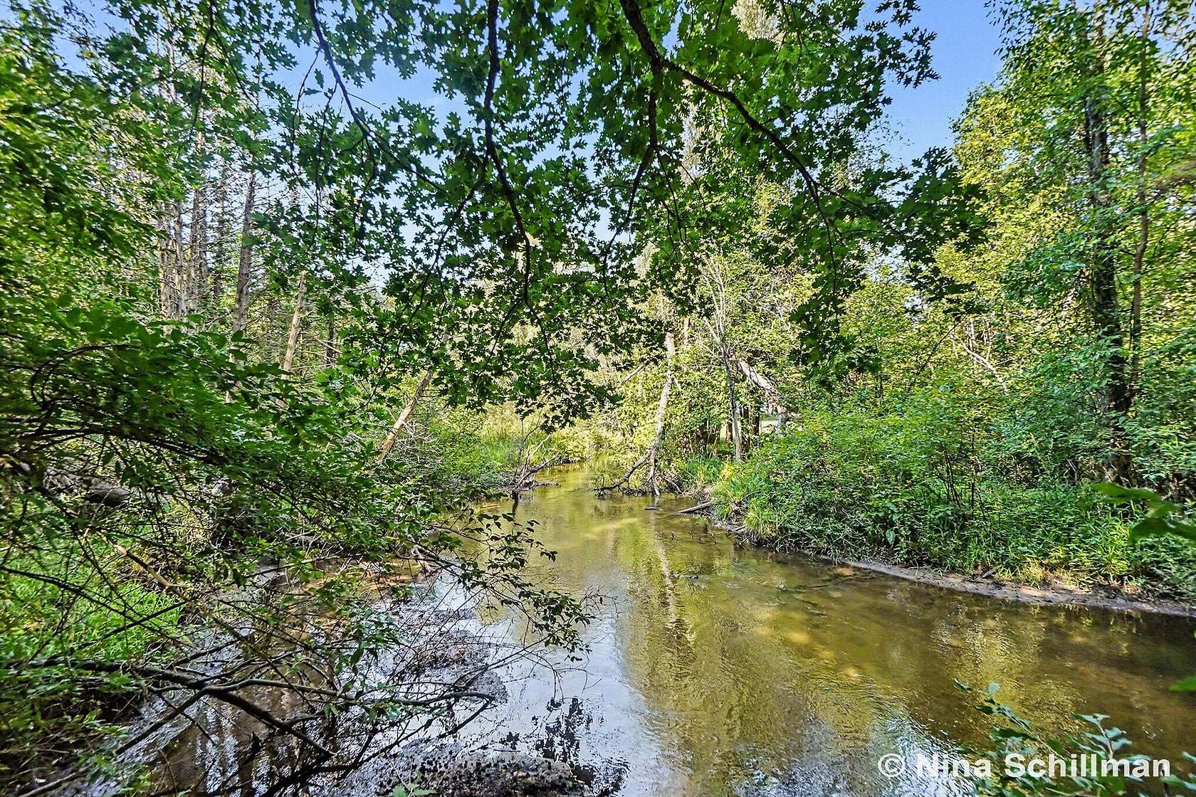 0.83 Acres of Residential Land for Sale in Hesperia, Michigan