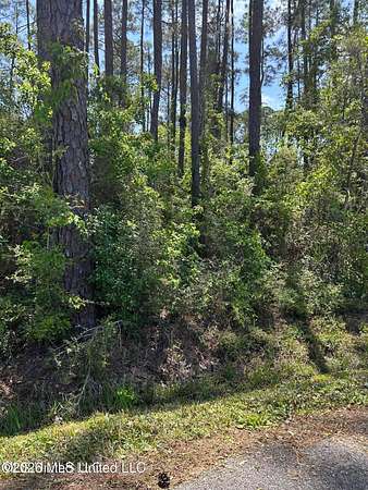 0.14 Acres of Residential Land for Sale in Pass Christian, Mississippi