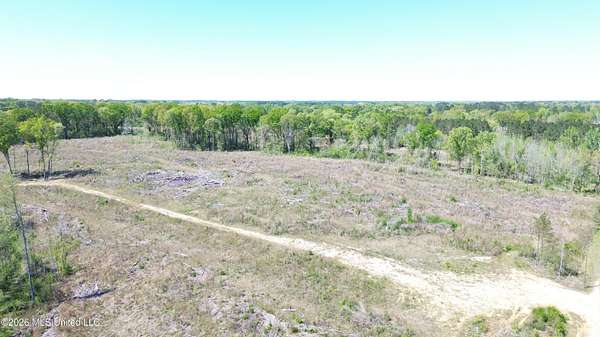 11 Acres of Land for Sale in Forest, Mississippi