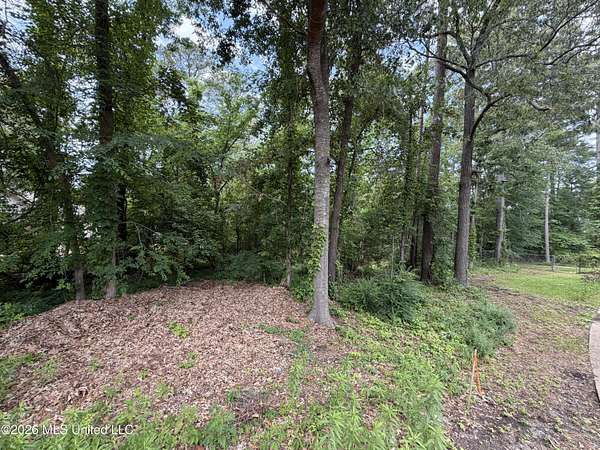 0.38 Acres of Residential Land for Sale in Brandon, Mississippi