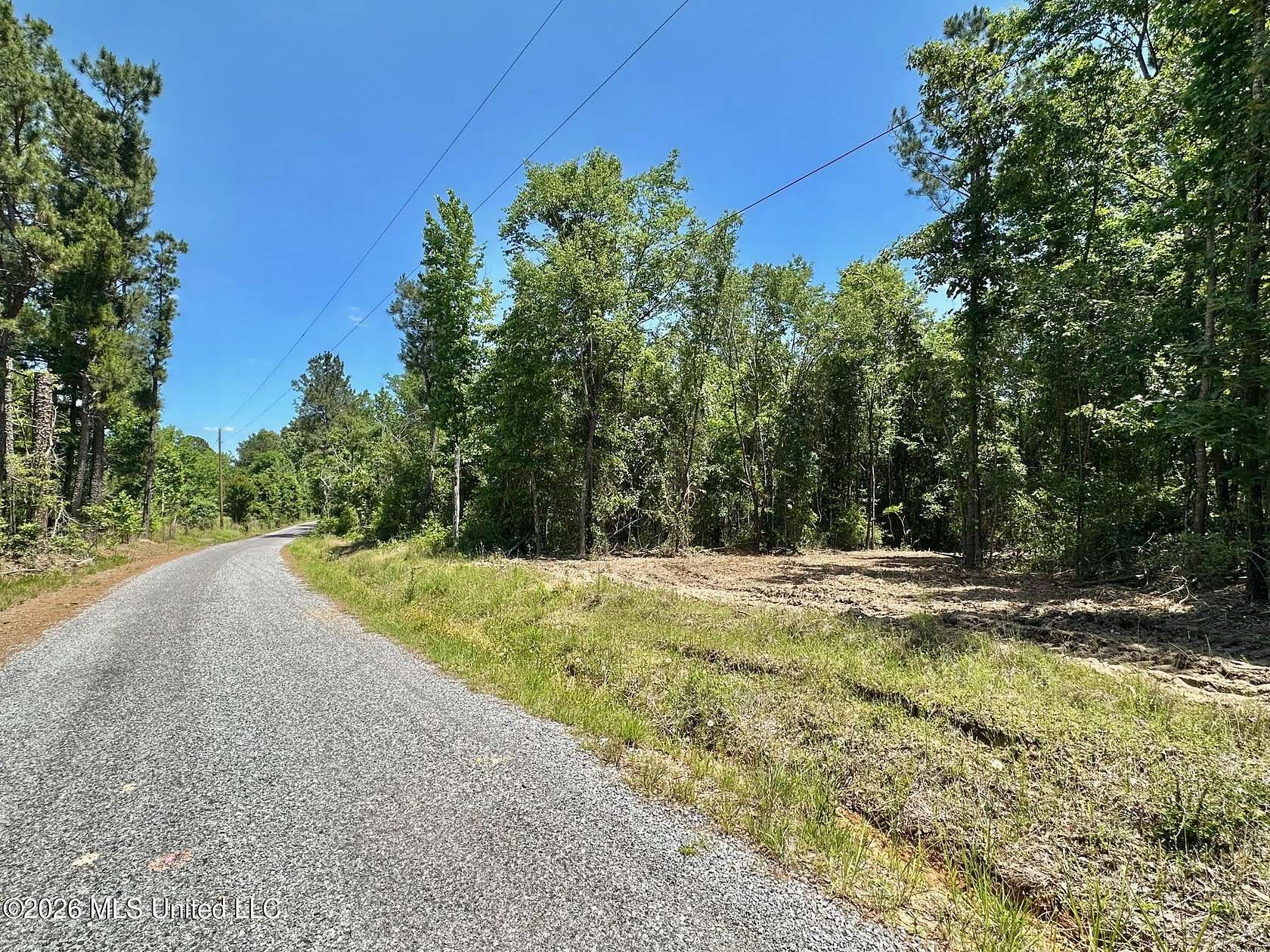 23 Acres of Recreational & Residential Land for Sale in Magee, Mississippi