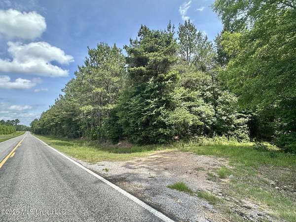 43 Acres of Recreational & Residential Land for Sale in Morton, Mississippi
