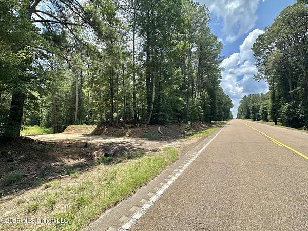 15 Acres of Recreational & Residential Land for Sale in Carthage, Mississippi