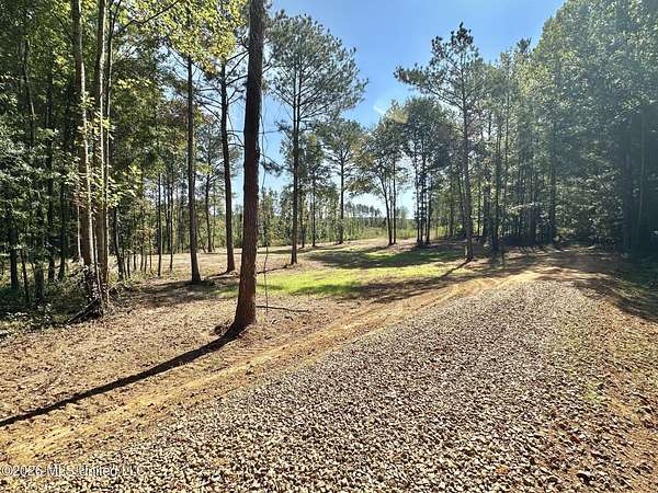 15 Acres of Recreational & Residential Land for Sale in Carthage, Mississippi