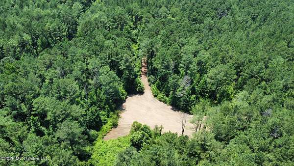 136 Acres of Recreational Land for Sale in Kosciusko, Mississippi