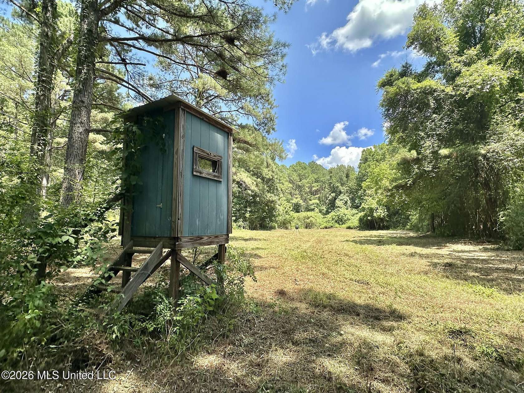 100 Acres of Recreational Land for Sale in Kosciusko, Mississippi