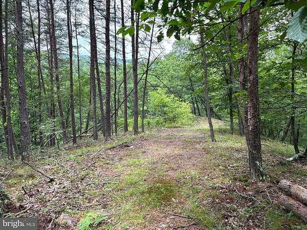 21.6 Acres of Recreational & Residential Land for Sale in Springfield, West Virginia