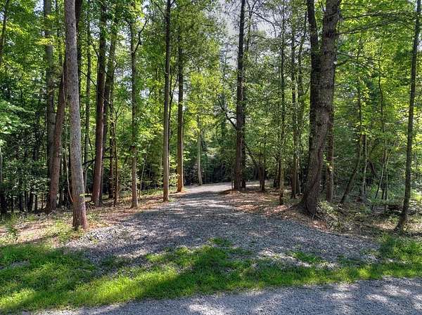 2.64 Acres of Residential Land for Sale in Blue Ridge, Georgia