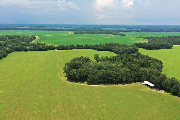 139 Acres of Land for Sale in Quincy, Florida