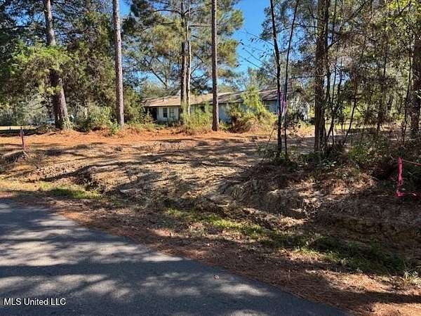 20 Acres of Recreational & Residential Land for Sale in Brooklyn, Mississippi