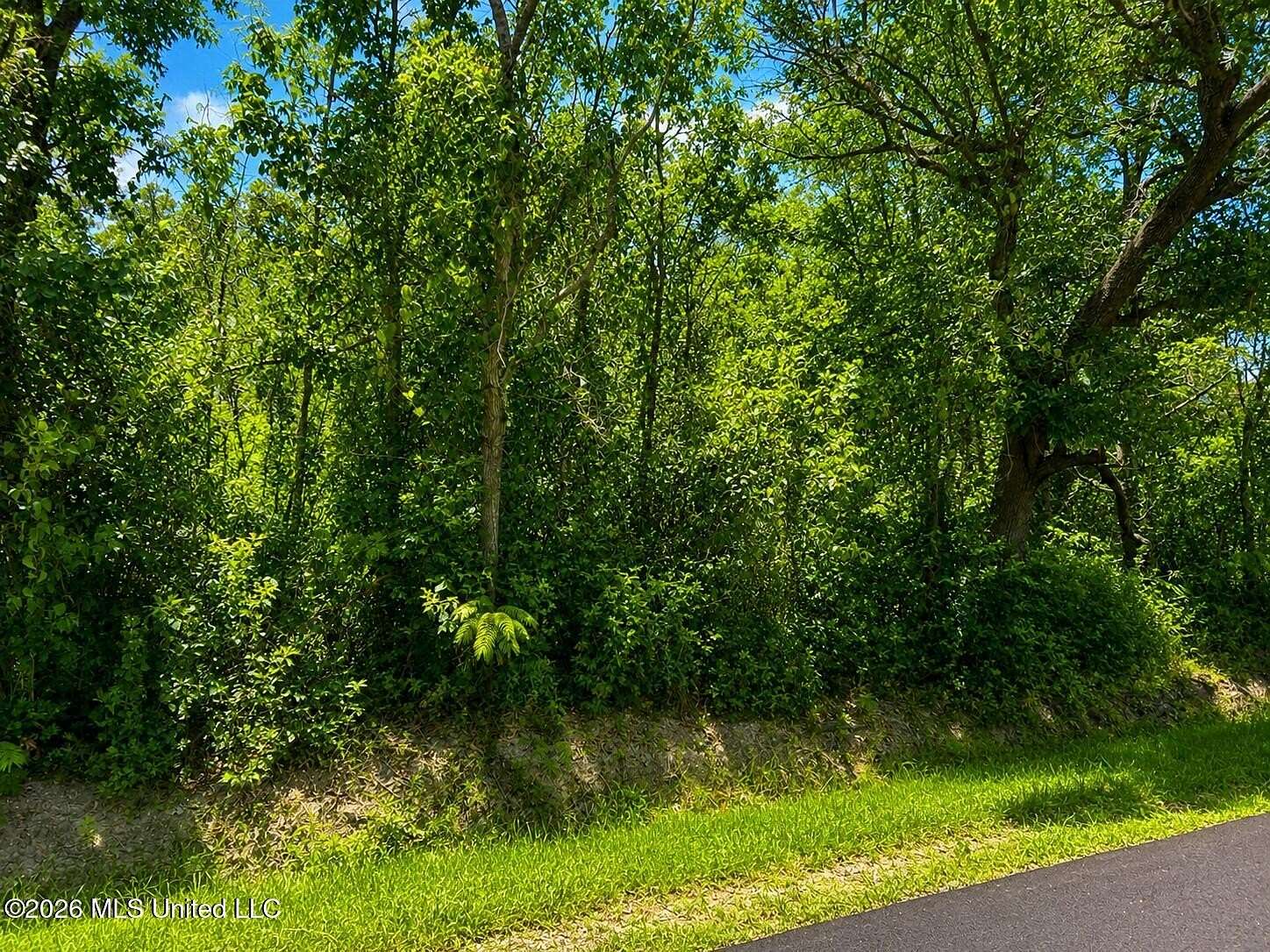 0.23 Acres of Residential Land for Sale in Bay St. Louis, Mississippi