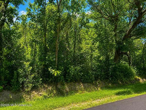 0.23 Acres of Residential Land for Sale in Bay St. Louis, Mississippi