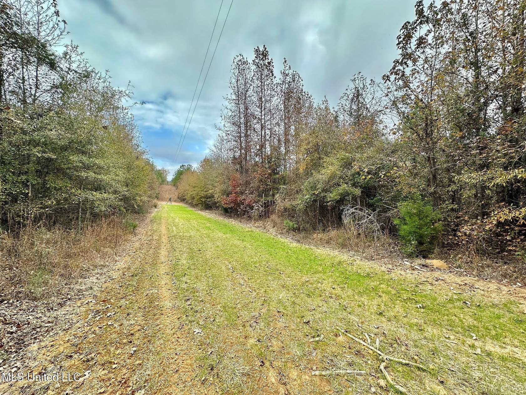 18 Acres of Recreational & Residential Land for Sale in McCool, Mississippi