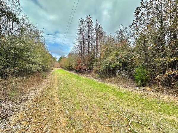 18 Acres of Recreational & Residential Land for Sale in McCool, Mississippi
