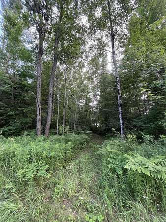 0.47 Acres of Residential Land for Sale in Elmira, Michigan