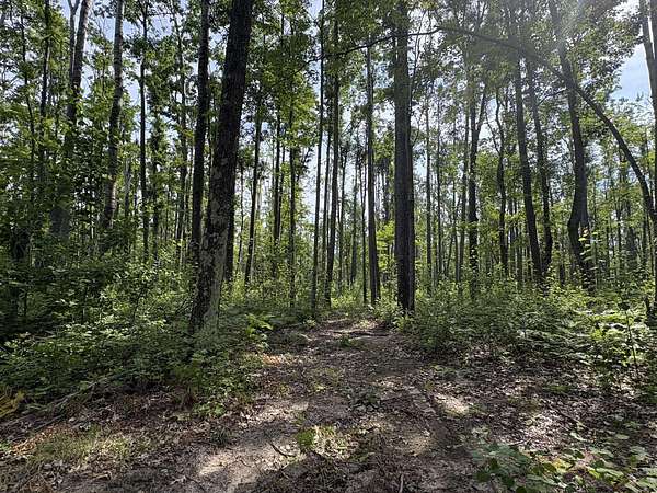 9 Acres of Land for Sale in Hillman, Michigan
