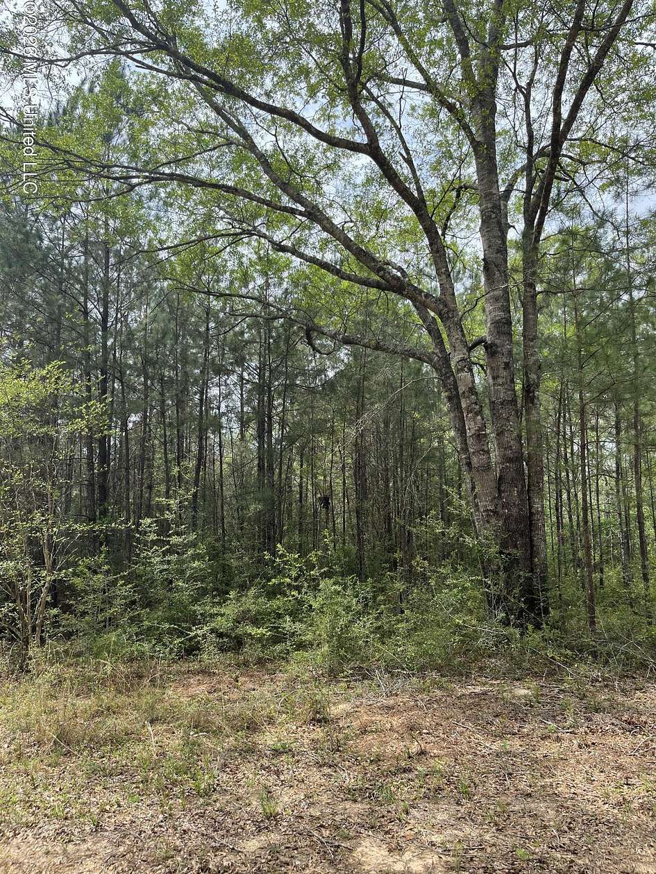 4.8 Acres of Residential Land for Sale in Perkinston, Mississippi