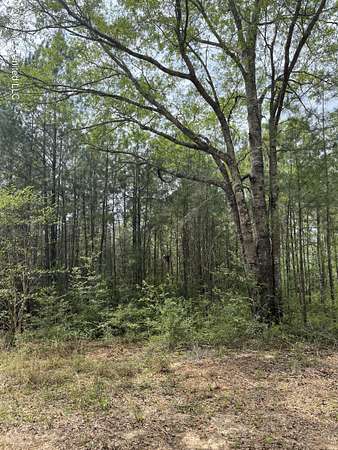 4.8 Acres of Residential Land for Sale in Perkinston, Mississippi