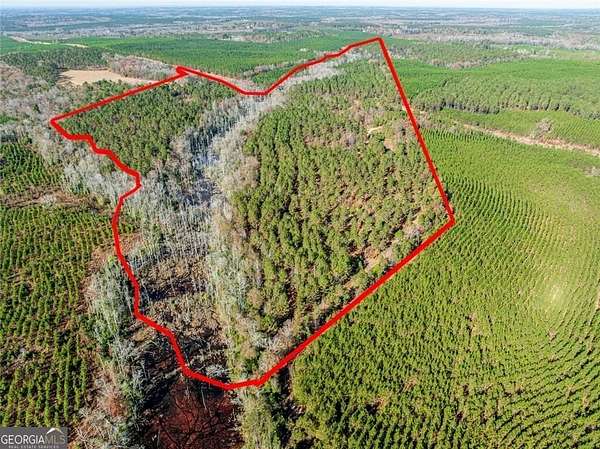 Land for Sale in Sandersville, Georgia