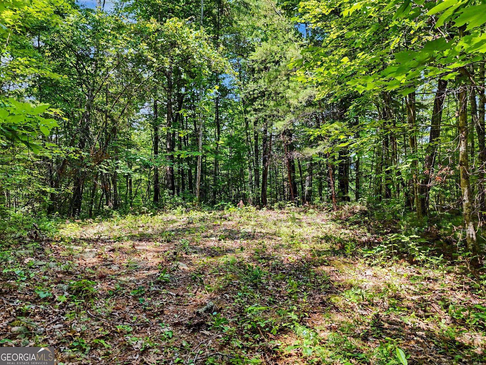 Residential Land for Sale in Tiger, Georgia