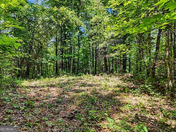 Residential Land for Sale in Tiger, Georgia