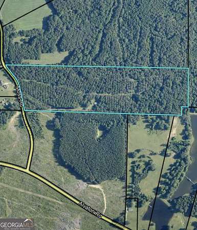 Residential Land for Sale in Gay, Georgia