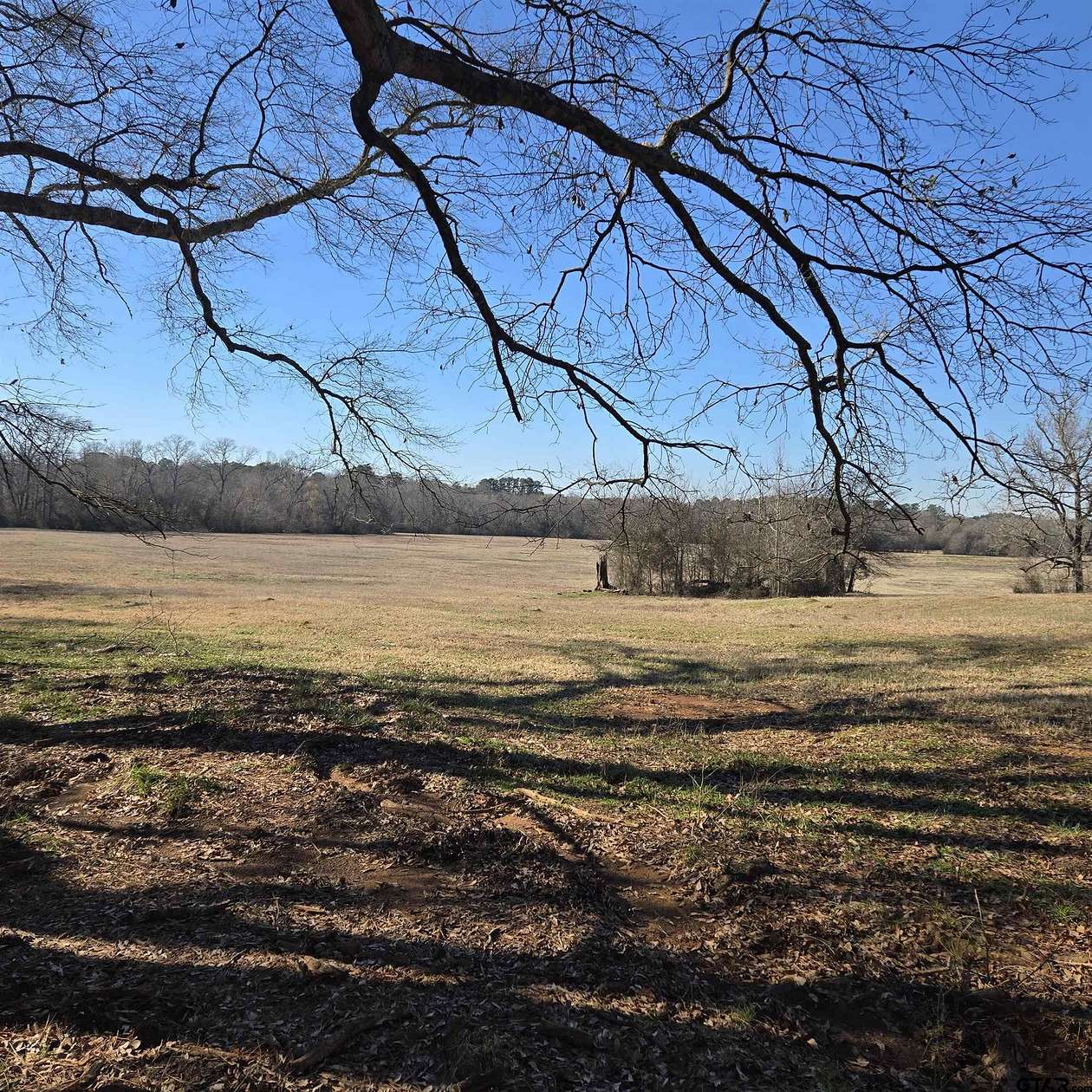 50 Acres of Land for Sale in Flint, Texas