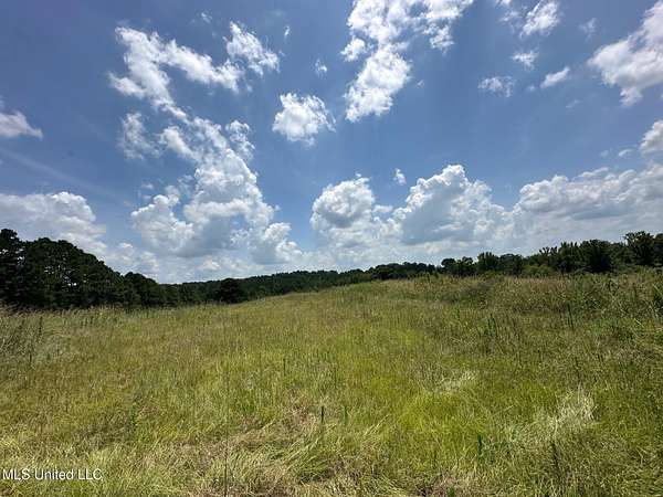 10 Acres of Residential Land for Sale in Philadelphia, Mississippi
