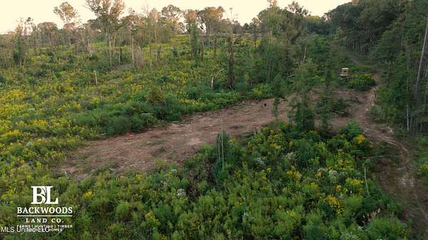 48 Acres of Recreational & Residential Land for Sale in Kosciusko, Mississippi