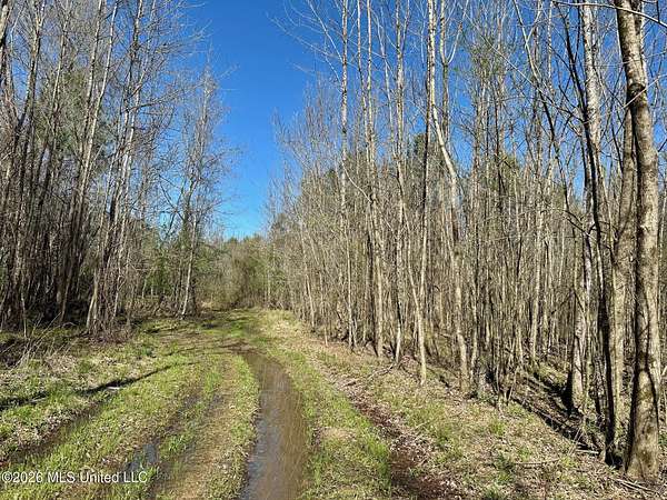40 Acres of Recreational Land for Sale in Carthage, Mississippi