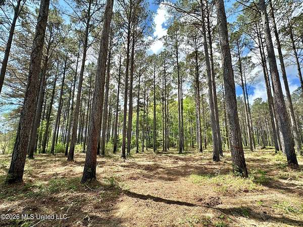 5 Acres of Residential Land for Sale in Canton, Mississippi