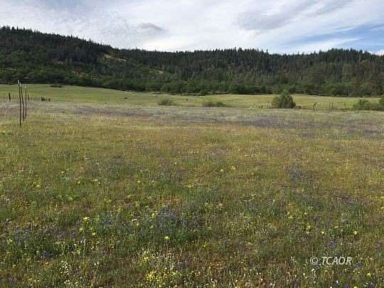 40.1 Acres of Agricultural & Residential Land for Sale in Hayfork, California