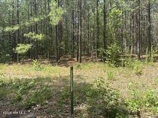 60.4 Acres of Land for Sale in Carthage, North Carolina