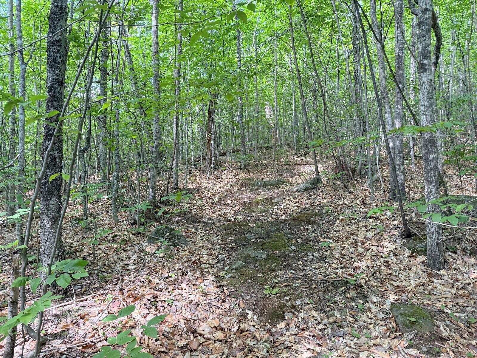 39 Acres of Recreational Land for Sale in Washington Town, Maine