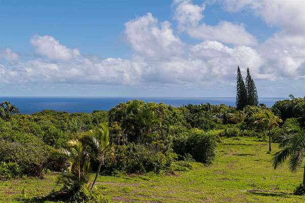 2 Acres of Land for Sale in Haʻikū, Hawaii