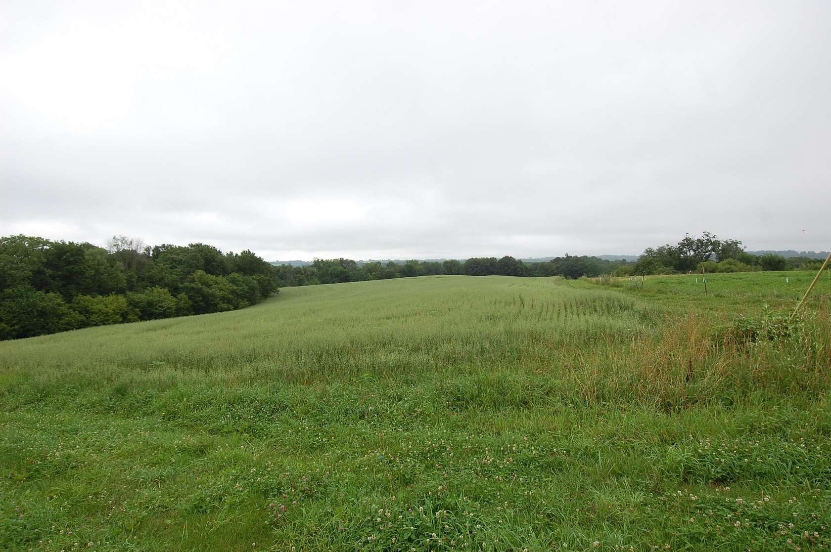 64.8 Acres of Agricultural & Residential Land for Sale in Soldiers Grove, Wisconsin